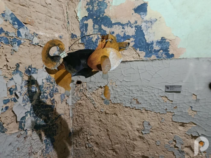 &laquo;Інший поруч&raquo; дивляться українці та іноземці: мистецький проєкт у Луцьку вже зібрав майже тисячу відвідувачів