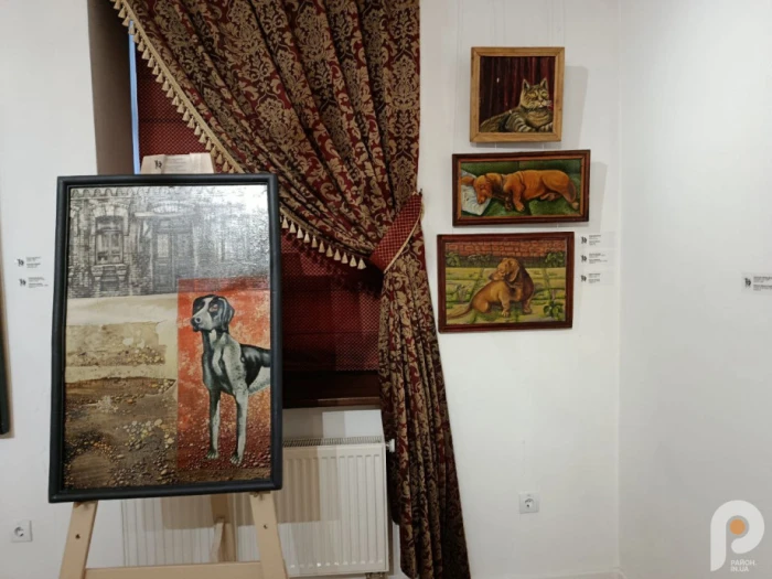 &laquo;Інший поруч&raquo; дивляться українці та іноземці: мистецький проєкт у Луцьку вже зібрав майже тисячу відвідувачів