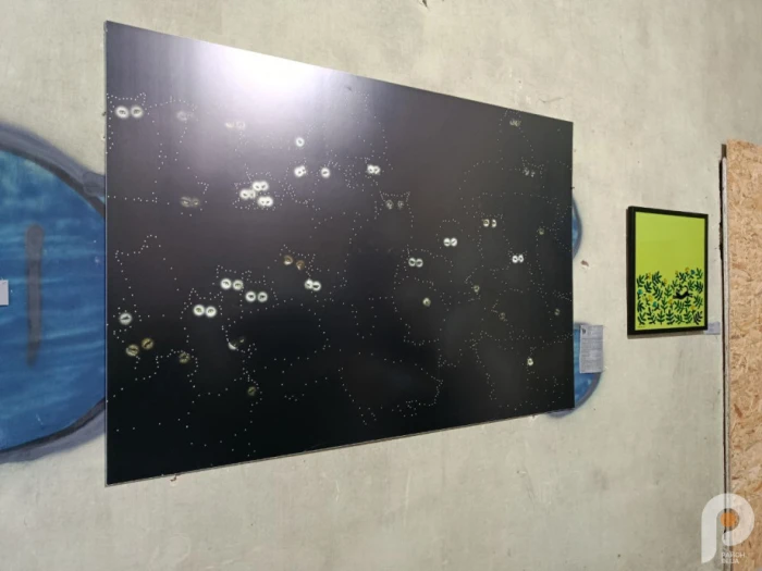 &laquo;Інший поруч&raquo; дивляться українці та іноземці: мистецький проєкт у Луцьку вже зібрав майже тисячу відвідувачів