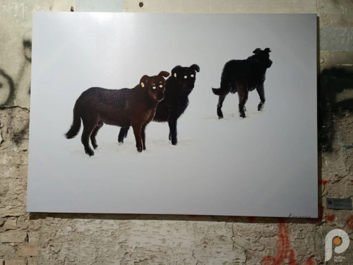 &laquo;Інший поруч&raquo; дивляться українці та іноземці: мистецький проєкт у Луцьку вже зібрав майже тисячу відвідувачів