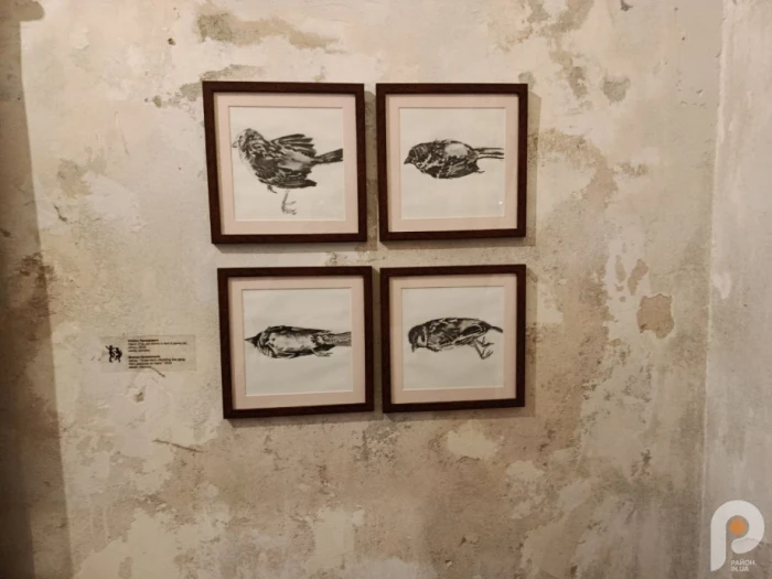 &laquo;Інший поруч&raquo; дивляться українці та іноземці: мистецький проєкт у Луцьку вже зібрав майже тисячу відвідувачів