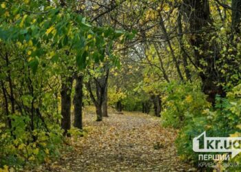 КОЛИ ЛІС РУБАЮТЬ НЕ ЗАВЖДИ ЛИШЕ ТРІСКИ ЛЕТЯТЬ. ІНКОЛИ Й ГОЛОВИ