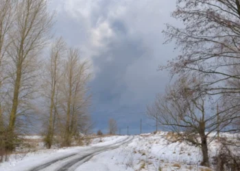 Над Луцьком зранку кружляли російські дрони