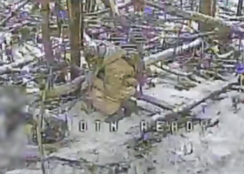 Прикордонники на Курському напрямку ліквідували окупантів та знищили три ворожі укриття