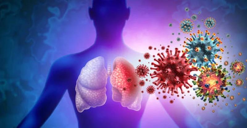 Смертність досягає 75%: у країнах Азії шириться вірус Nipah, перші випадки хвороби фіксують в Індії