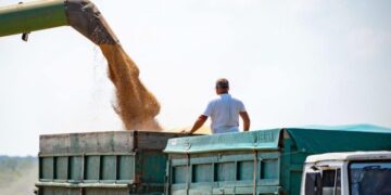 «Сучасне рейдерство – це так зване тихе рейдерство через електронні реєстри»