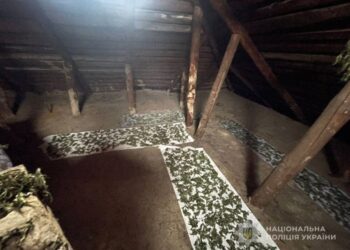 У конотопця поліція знайшла 2,4 кіло «травички»
