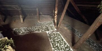 У конотопця поліція знайшла 2,4 кіло «травички»