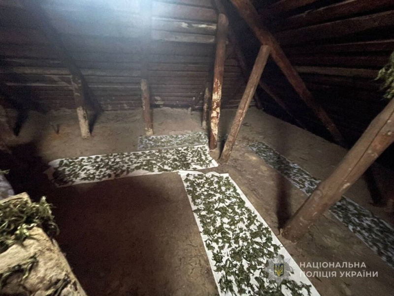 У конотопця поліція знайшла 2,4 кіло «травички»