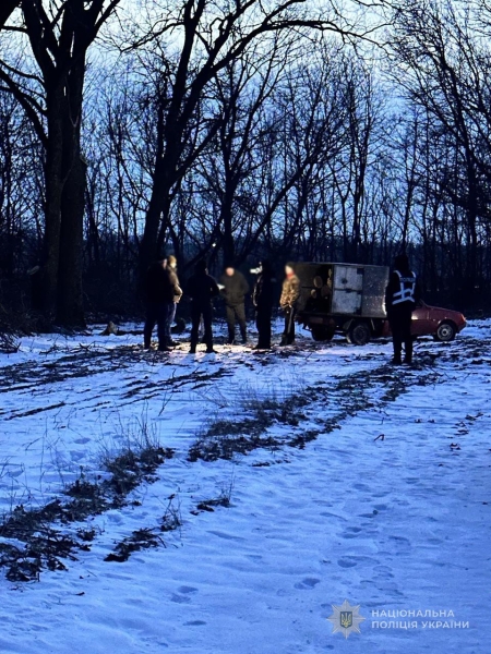 У Запорізькому районі викрили чорного лісоруба: підозрюваний зрубав і продав 158 дерев