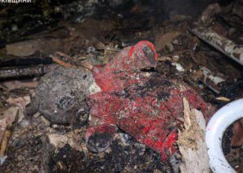 Росія убила батька і трьох малюків у будинку у Богодухові