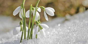 Вже пахне весною: якою буде погода 21-23 лютого