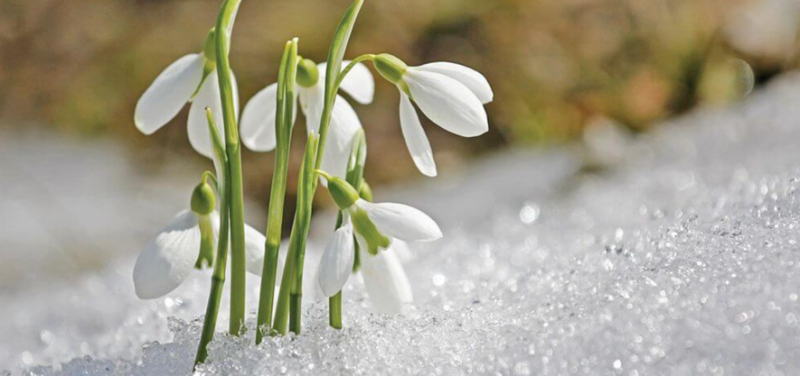 Вже пахне весною: якою буде погода 21-23 лютого