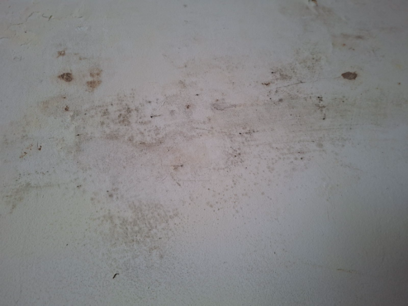 Батьки занепокоєні: у школі Франківська стіни вкрилися пліснявою (ФОТО)