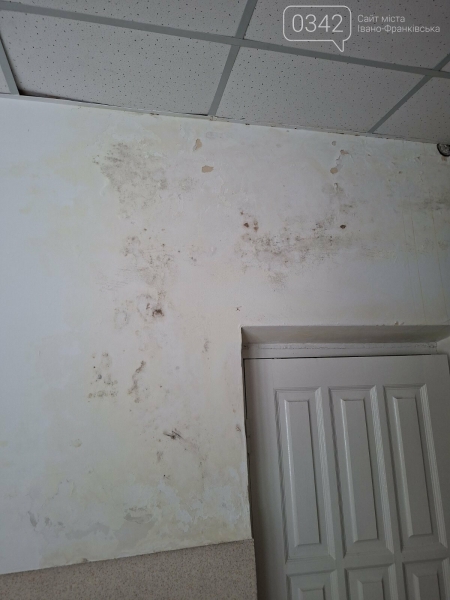 Батьки занепокоєні: у школі Франківська стіни вкрилися пліснявою (ФОТО)