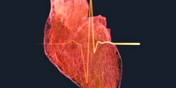 Вчені назвали вік, при якому ризик інфаркту у чоловіків різко зростає