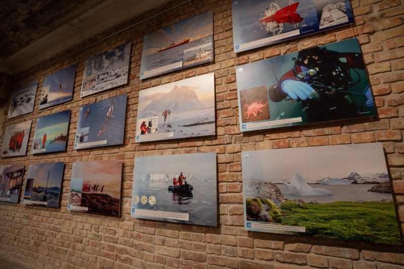 30 років в Антарктиці: у Києві відкрилася фотовиставка про українських полярників