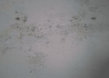 Батьки занепокоєні: у школі Франківська стіни вкрилися пліснявою (ФОТО)