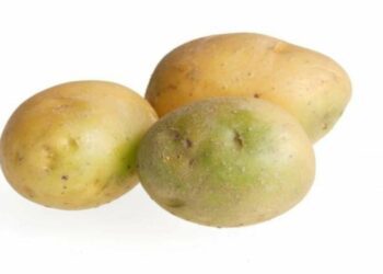 “Нудота і біль”: картопля може перетворитися на отруту, якщо стануться ці майже непомітні зміни