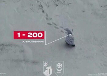 Військові знищують бойових “пінгвінів” на Харківщині