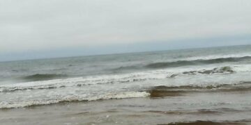 Землетрус магнітудою 4,8 стався в Азовському морі