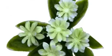 искусственные цветы оптом