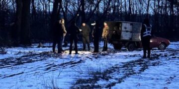 У Запорізькому районі викрили чорного лісоруба: підозрюваний зрубав і продав 158 дерев
