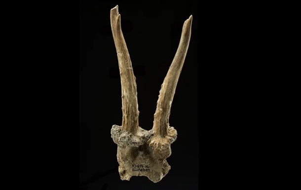 У Німеччині знайшли шаманський головний убір кам&rsquo;яної доби