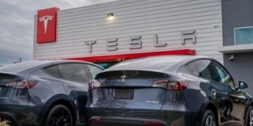 Продажі Tesla у Європі падають 13-й місяць поспіль