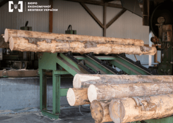 Пункт пропуску на Одещині став місцем викриття контрабанди деревини