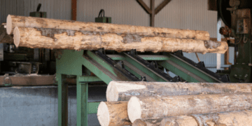 Пункт пропуску на Одещині став місцем викриття контрабанди деревини