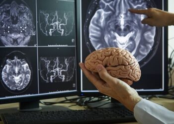 Вчені пояснили механізм втрати пам яті при хворобі Альцгеймера