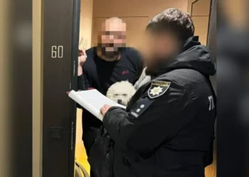 Підробляли алкоголь відомих брендів. У Києві викрито підпільні склади