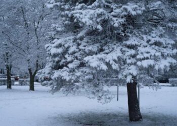 “Зима повертається з новою силою”: в Україні захурделить і завалить снігом, водіїв жде ожеледиця і сильний вітер