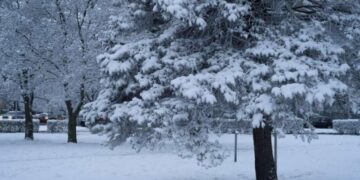 “Зима повертається з новою силою”: в Україні захурделить і завалить снігом, водіїв жде ожеледиця і сильний вітер