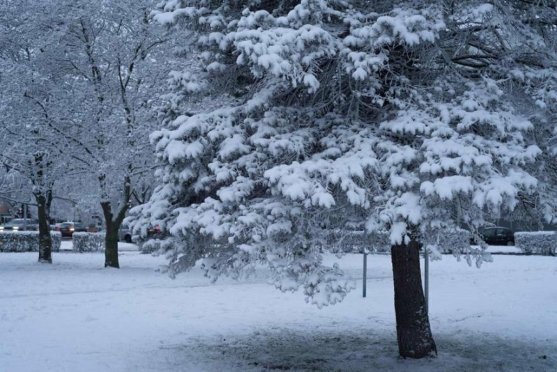 "Зима повертається з новою силою": в Україні захурделить і завалить снігом, водіїв жде ожеледиця і сильний вітер