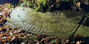 У Норвегії знайшли 3000-річні наскельні різьблення доби бронзи