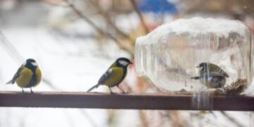 Якою буде погода в Харкові на початку весни