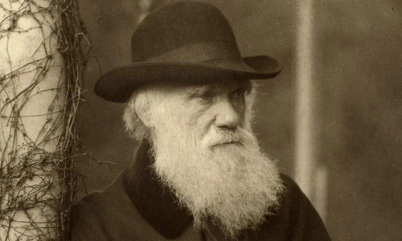 Чи справді людина походить від мавпи: що каже наука у День Дарвіна. Пояснюємо