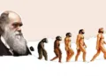 Чи справді людина походить від мавпи: що каже наука у День Дарвіна. Пояснюємо