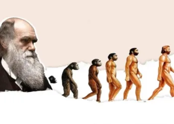Чи справді людина походить від мавпи: що каже наука у День Дарвіна. Пояснюємо