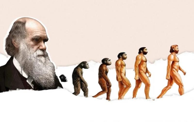 Чи справді людина походить від мавпи: що каже наука у День Дарвіна. Пояснюємо