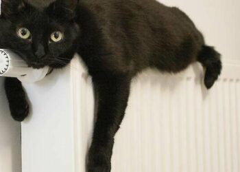 Уряд ввів автоматичний перерахунок комунальних послуг через обстріли: як це працюватиме