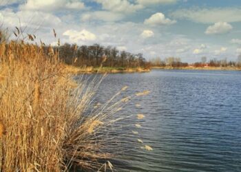 Дніпровська міськрада з озера річку зробила. Що вирішить суд?