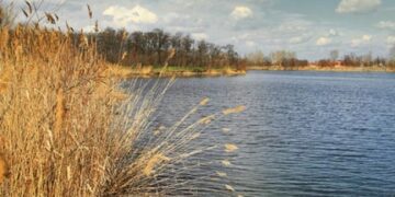 Дніпровська міськрада з озера річку зробила. Що вирішить суд?