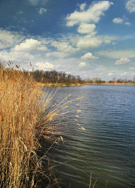 Дніпровська міськрада з озера річку зробила. Що вирішить суд?