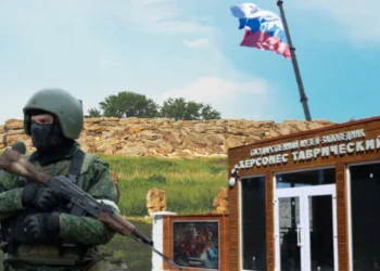 Стали відомі імена причетних до розкрадання заповідника “Кам’яна Могила”: від кураторів з Росії до місцевих зрадників