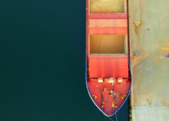 США витісняє українську кукурудзу з ринку ЄС – ЗМІ