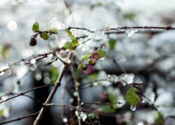 Вихідними у Запоріжжі очікується суха погода і до 11° тепла