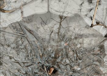 Погода на 16 лютого